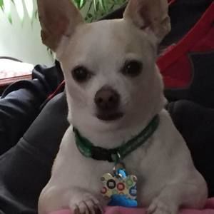 Meet your Posher, Debra